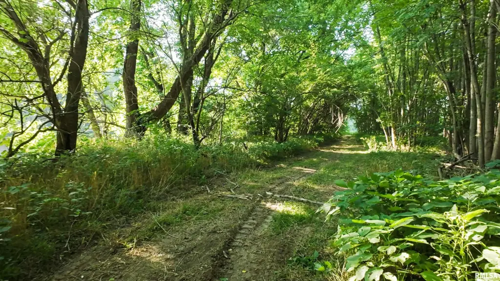 Picture 25