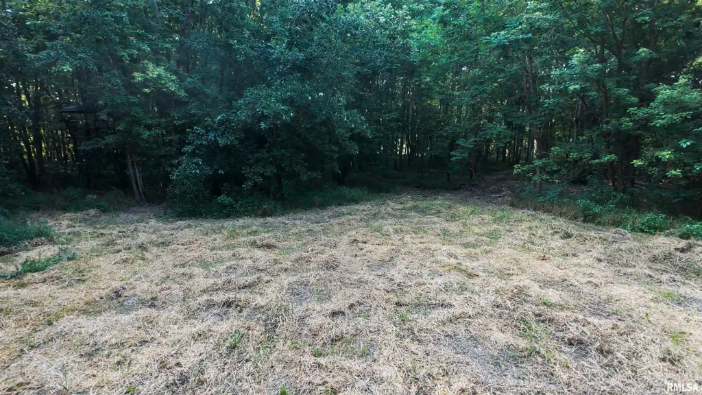 Picture 18
