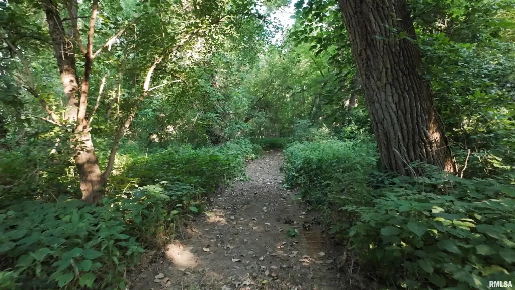Picture 15