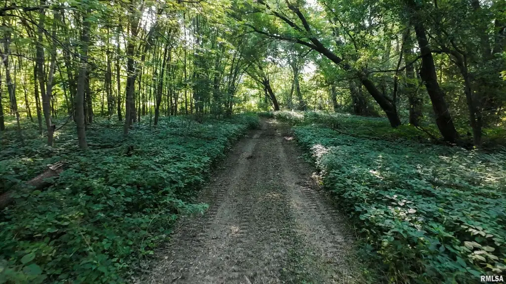 Picture 19