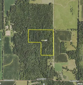 Mature Timber Hunting Land