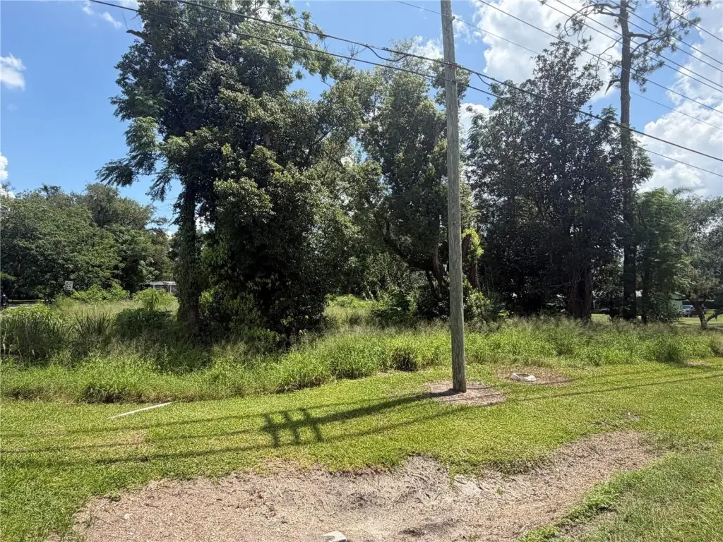 Picture 6