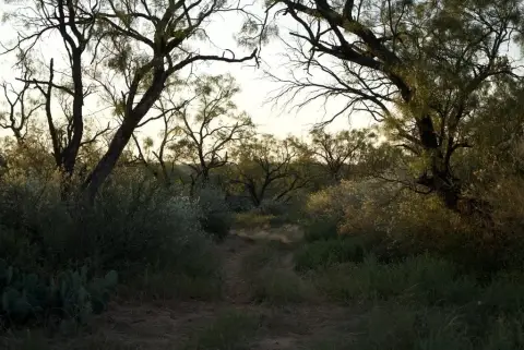 Central Texas Hunting Retreat