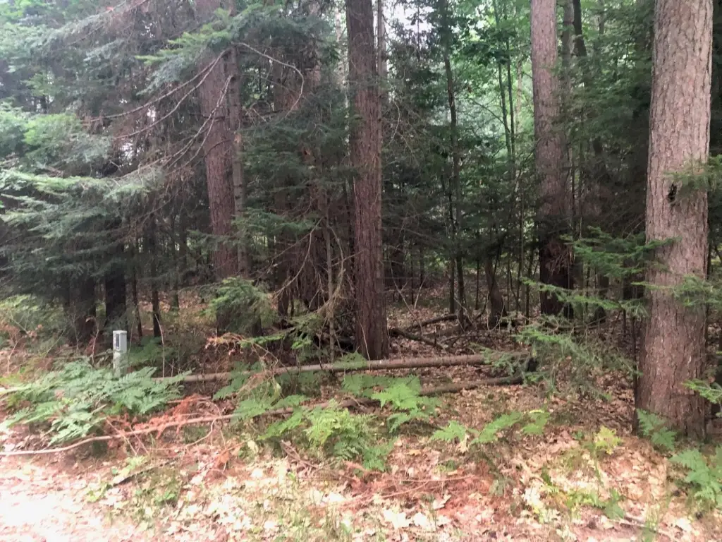 Picture 5