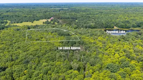 Wooded Recreation Land Parcel