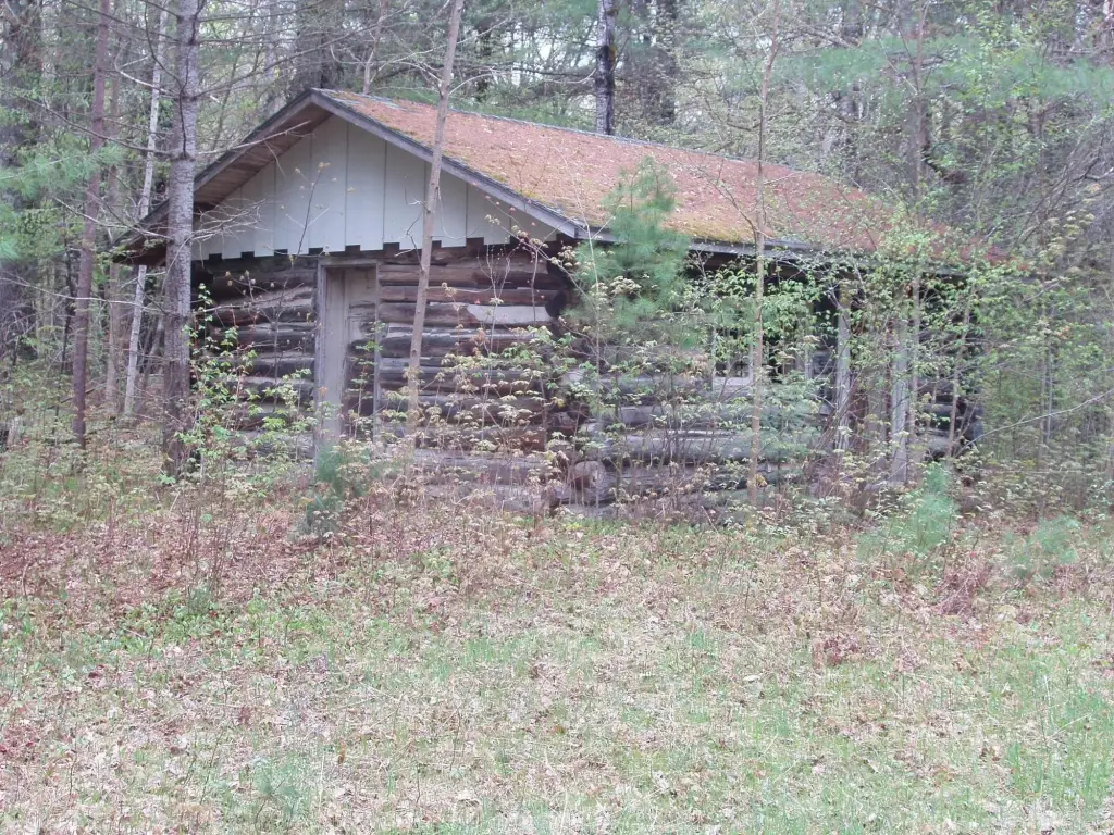 Picture 15