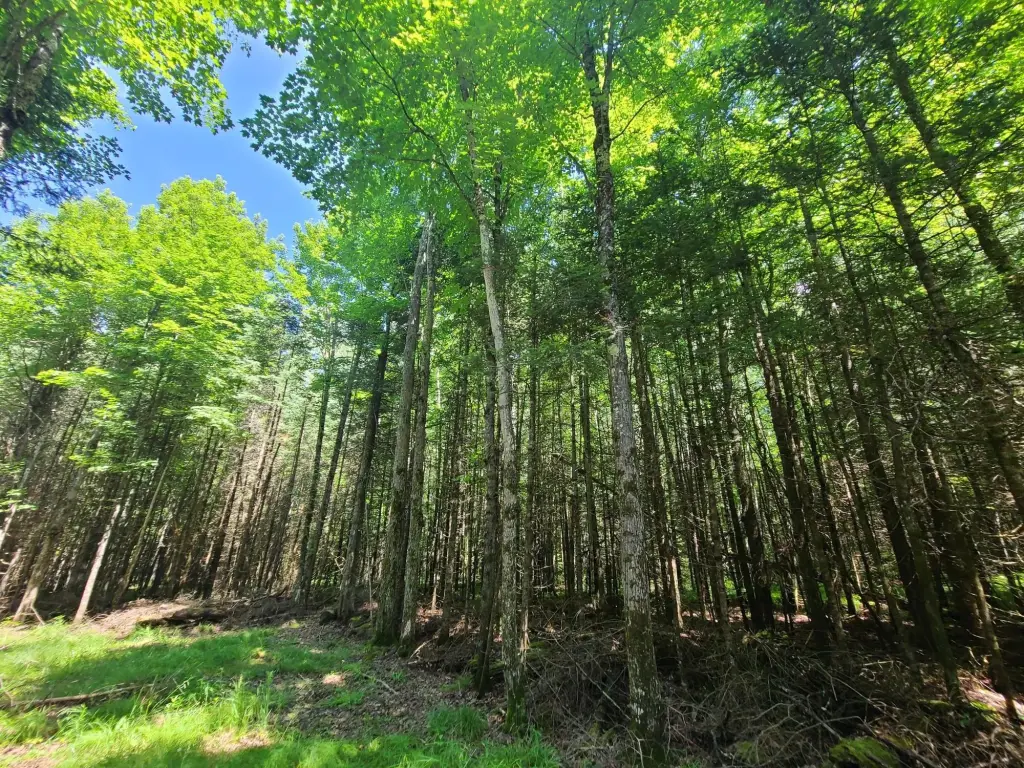 Picture 2