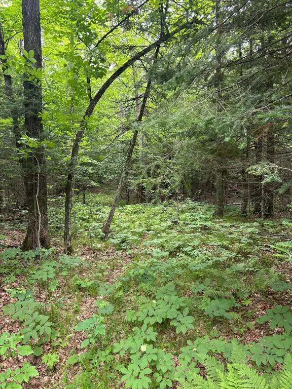 Picture 10