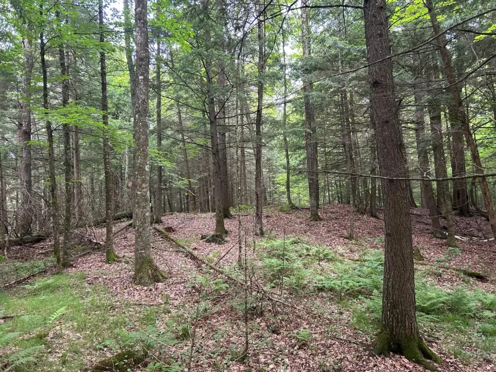 Picture 6