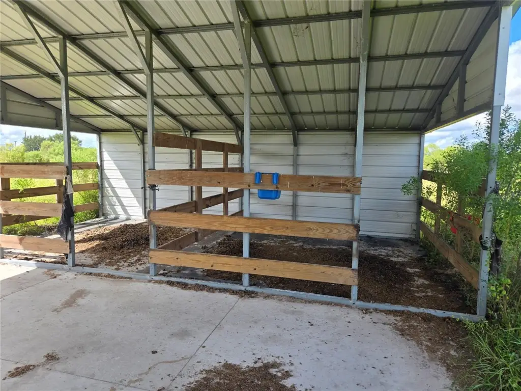Picture 5