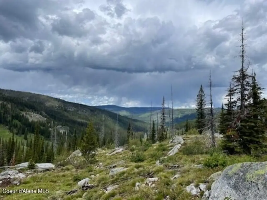 Picture 13