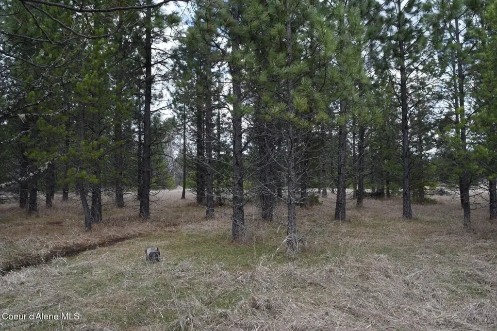 Picture 31