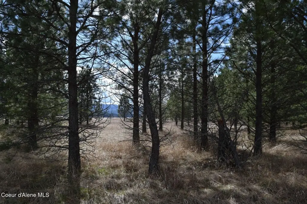 Picture 30