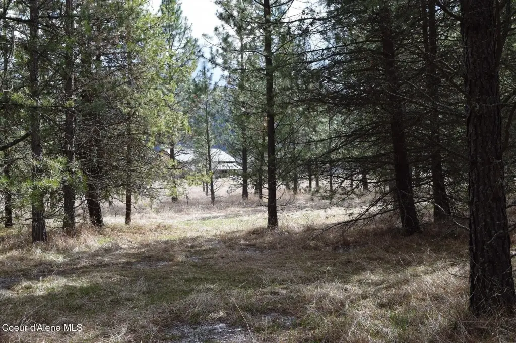 Picture 28