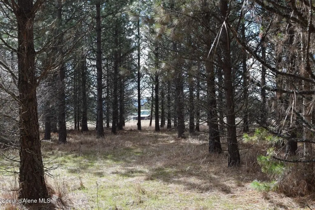 Picture 25