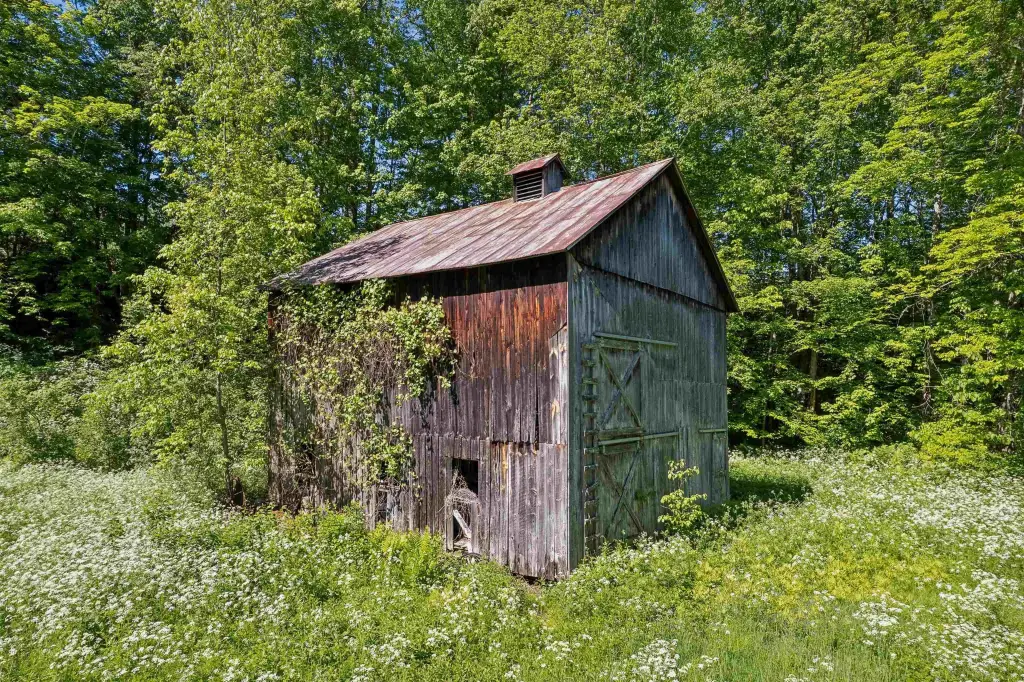 Picture 20