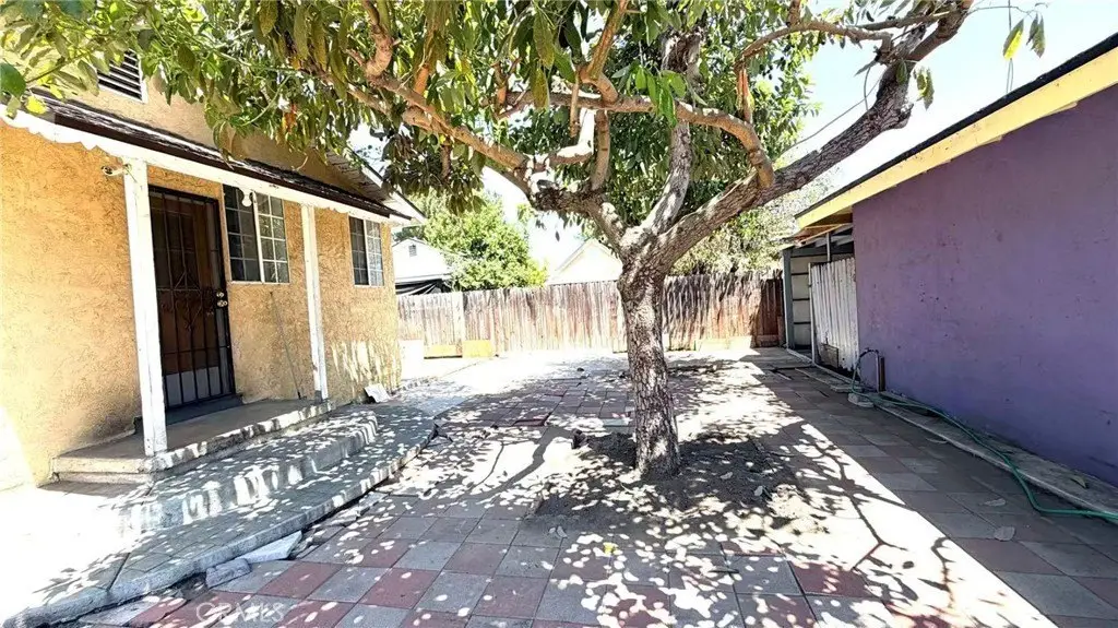 Picture 9