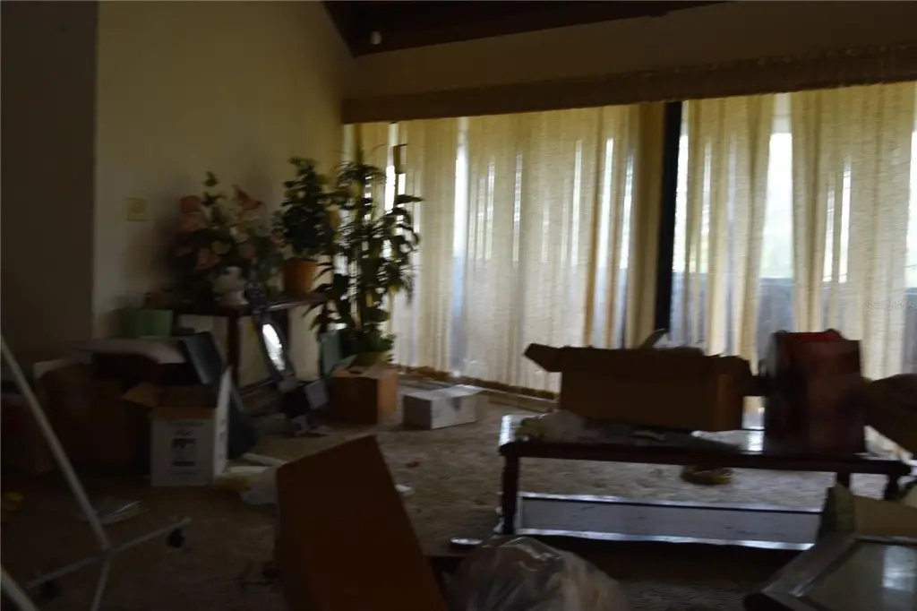 Picture 24