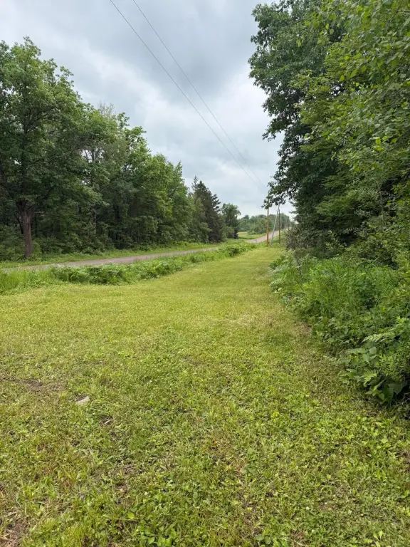 Picture 29