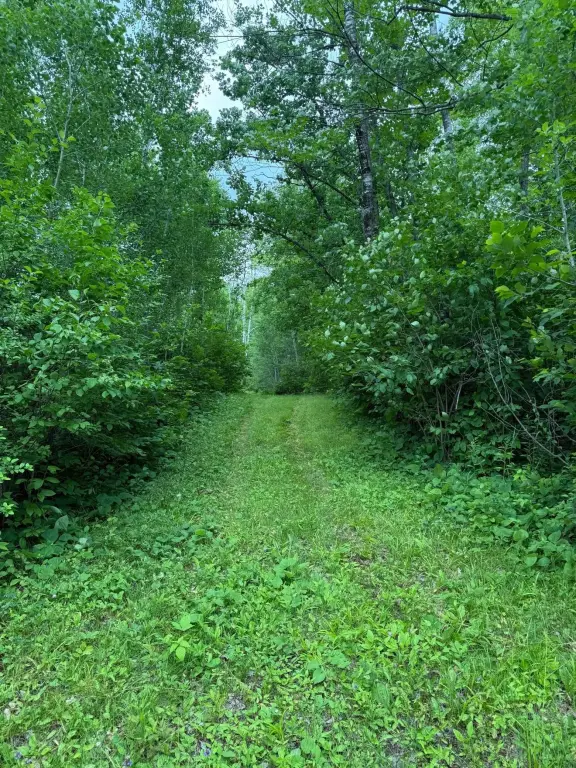 Picture 19