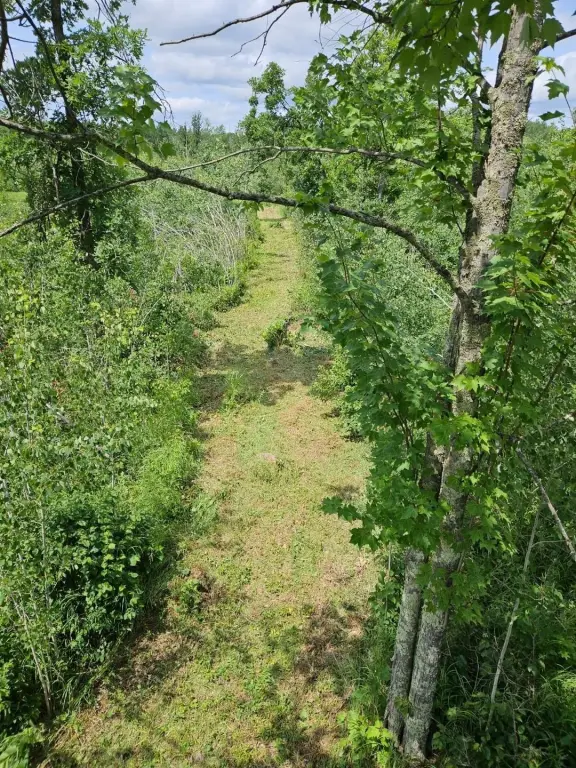 Picture 17