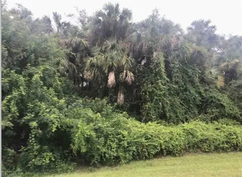 Oversized Wooded Lot in Naples