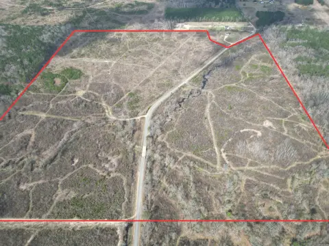 Wilmar Hunting Land with Wildlife