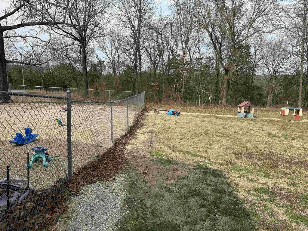 Picture 17