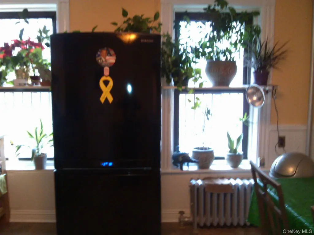 Picture 11