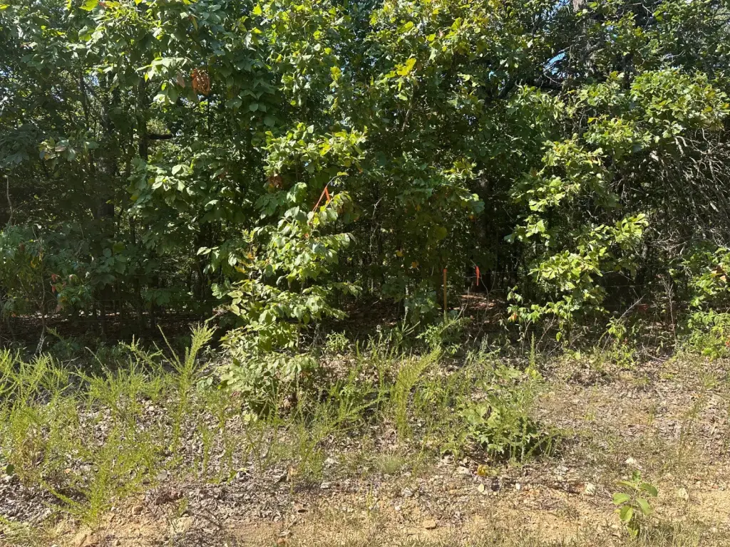 Picture 3