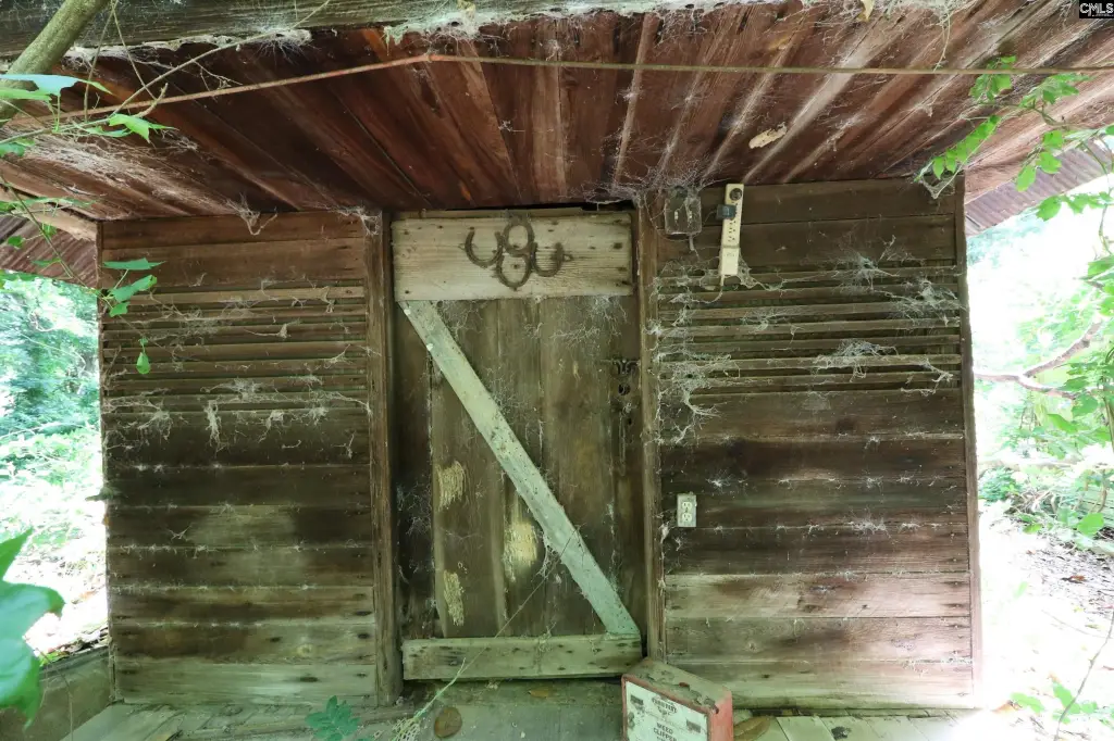 Picture 14