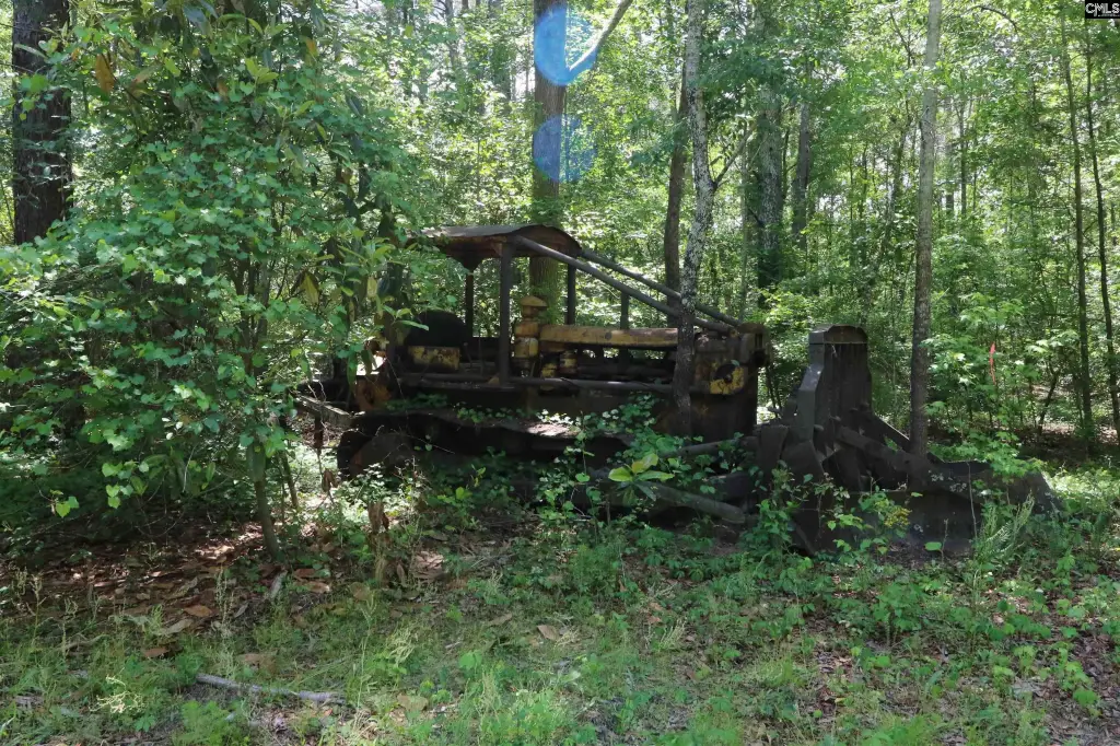 Picture 17