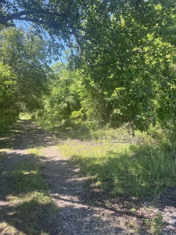 Picture 3