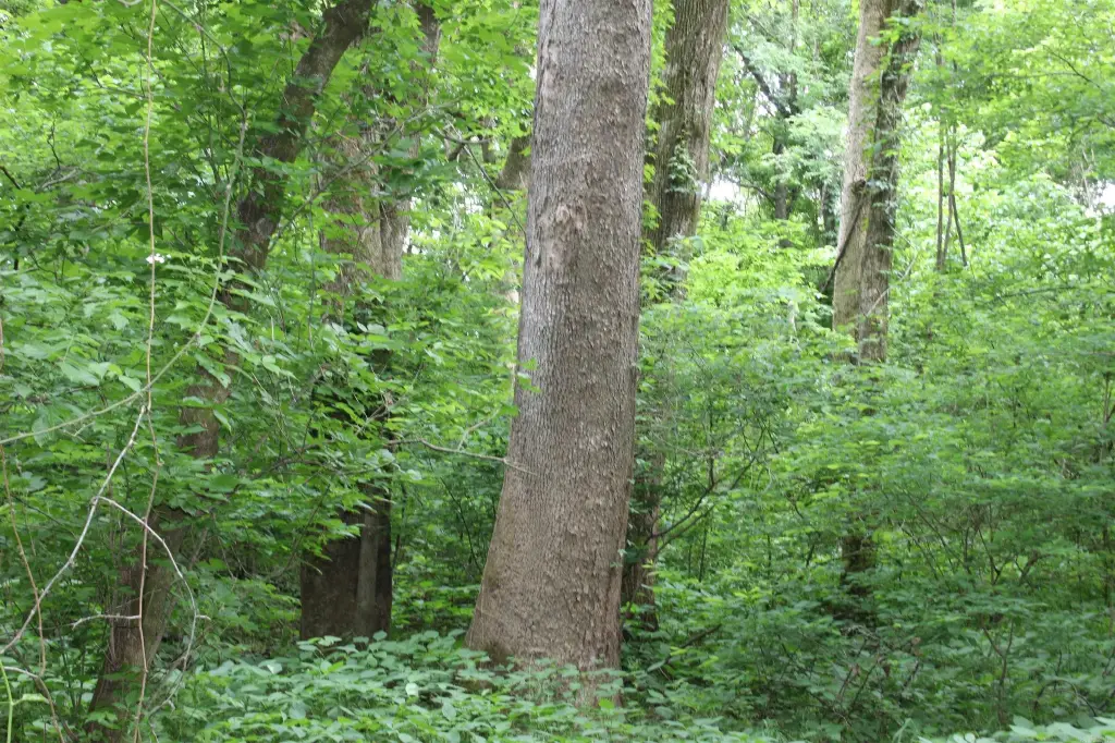Picture 18