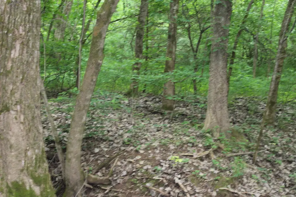 Picture 11