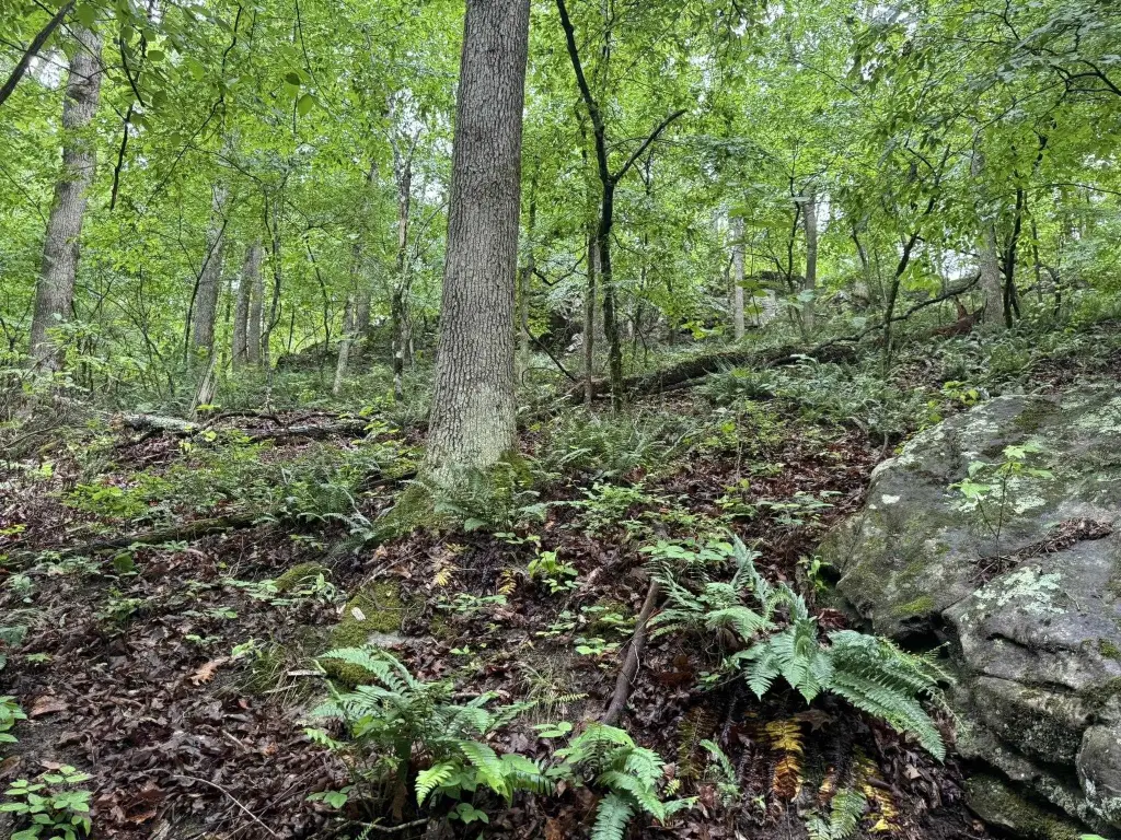 Picture 15