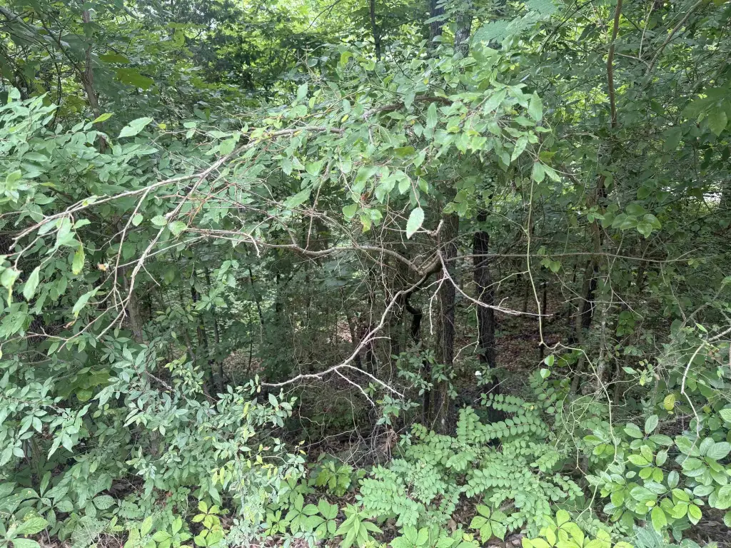 Picture 6