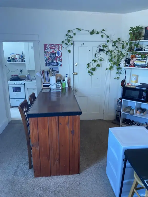 Picture 19