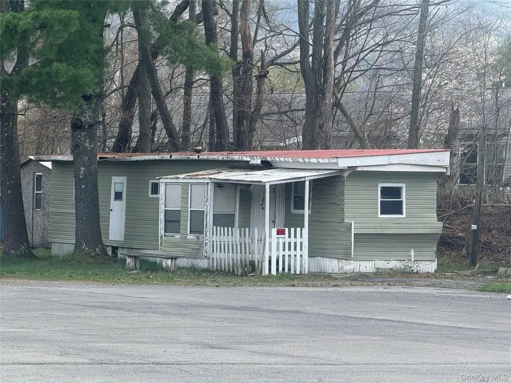 Picture 5