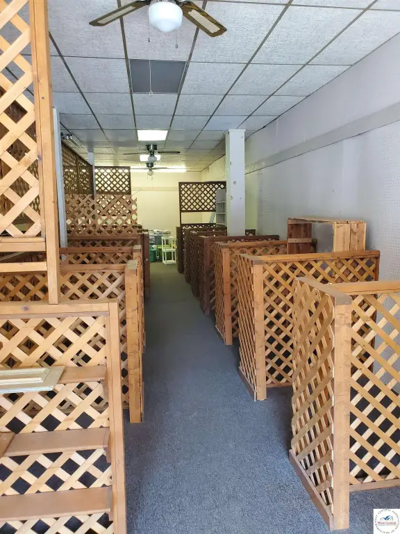 Picture 5