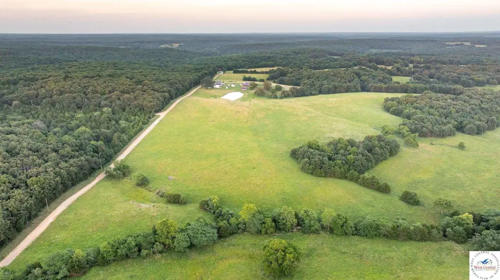 Picture 15