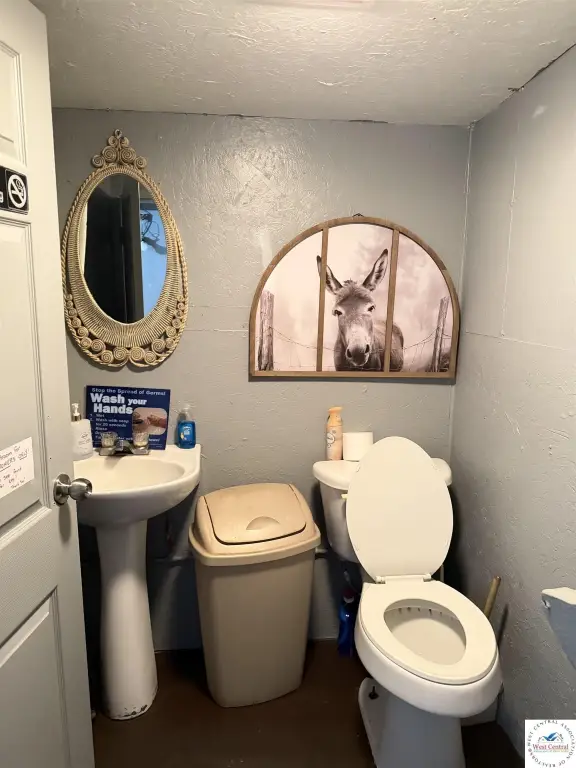 Picture 23