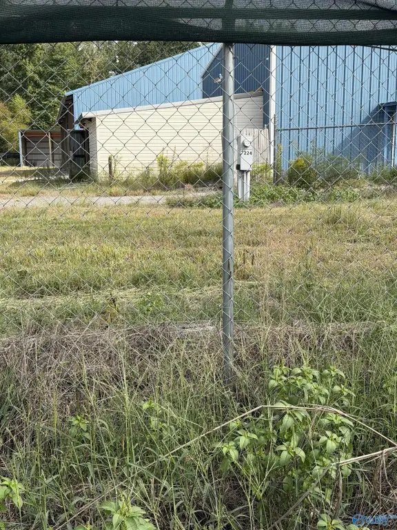 Picture 12
