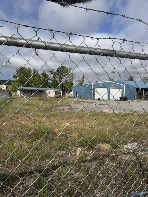 Picture 6