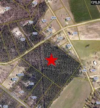 20 Acre Wooded Land Parcel