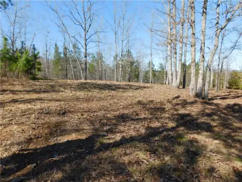 Land with Mountain and Lake Views