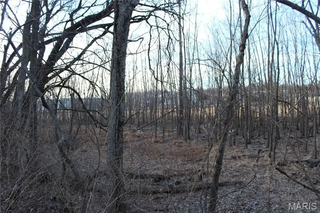 Picture 38