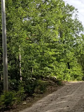 Parsonsfield Land with Development Potential