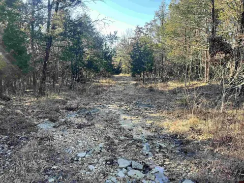 Undeveloped Land Near Jones Point WMA