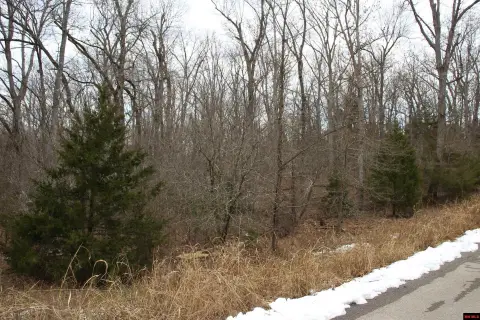 Wooded Lot Near Bull Shoals